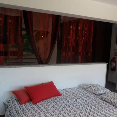 Abragao Studio Mira מראה חיצוני תמונה
