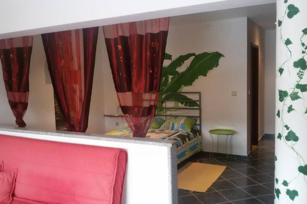 Abragao Studio Mira מראה חיצוני תמונה