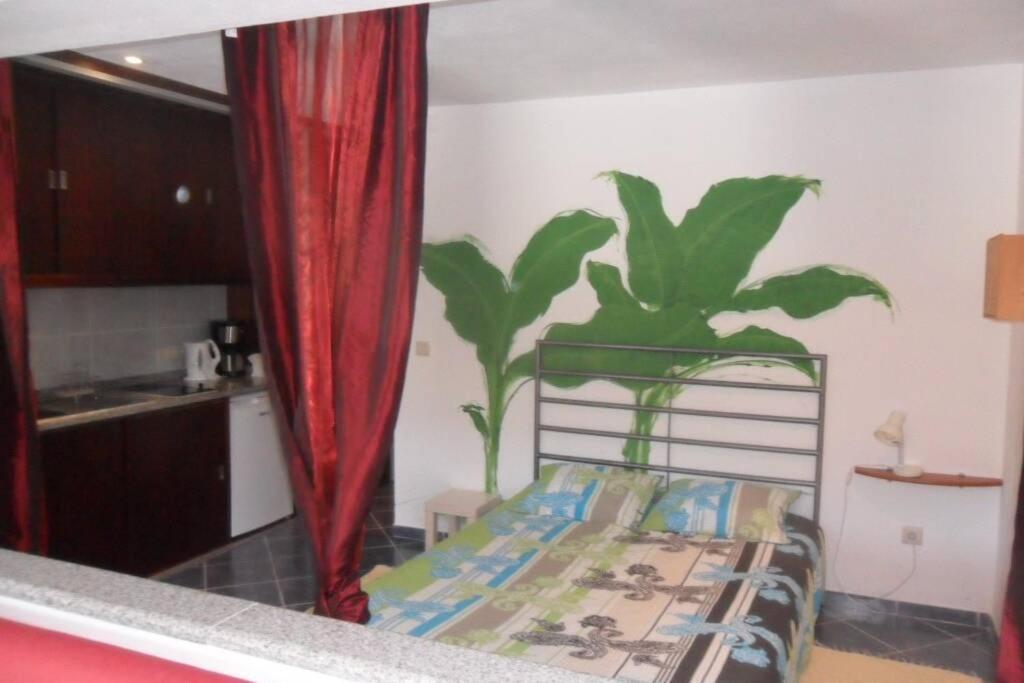 Abragao Studio Mira מראה חיצוני תמונה