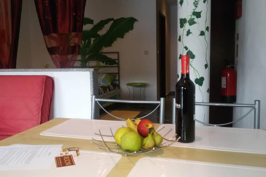 Abragao Studio Mira מראה חיצוני תמונה