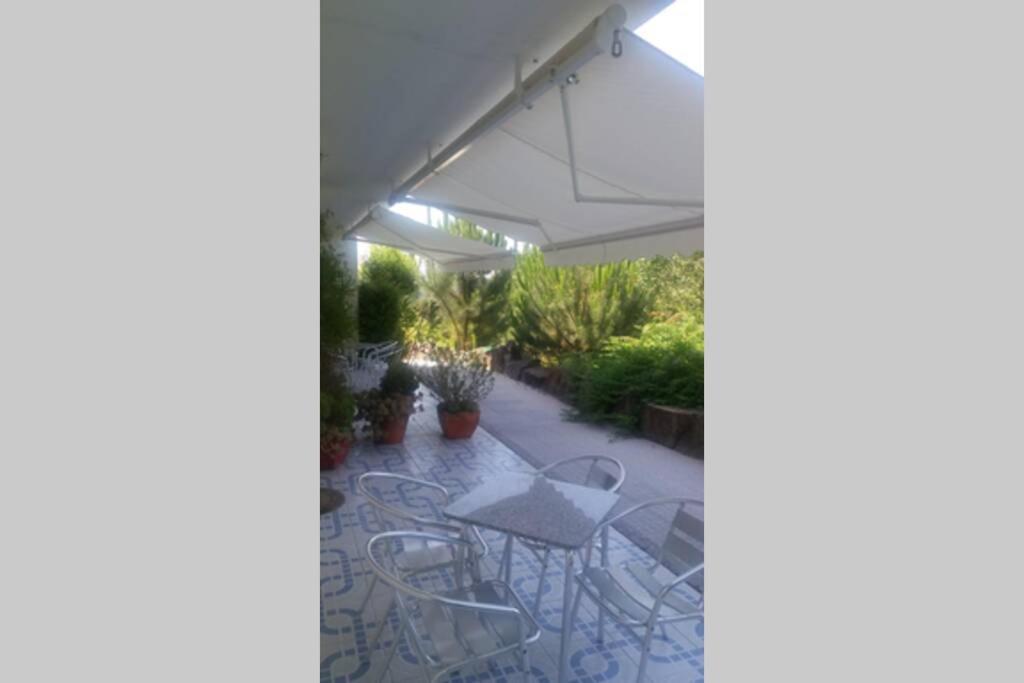 Abragao Studio Mira מראה חיצוני תמונה
