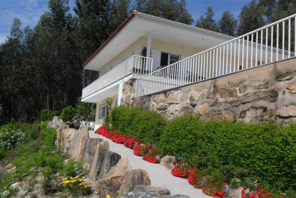 Abragao Studio Mira מראה חיצוני תמונה